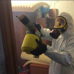 Уничтожение клопов в квартире. Ломоносовский проспект