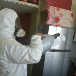 Уничтожение насекомых в квартире. Ломоносовский проспект